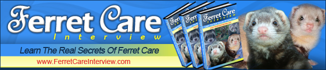 Ferret Care Interview